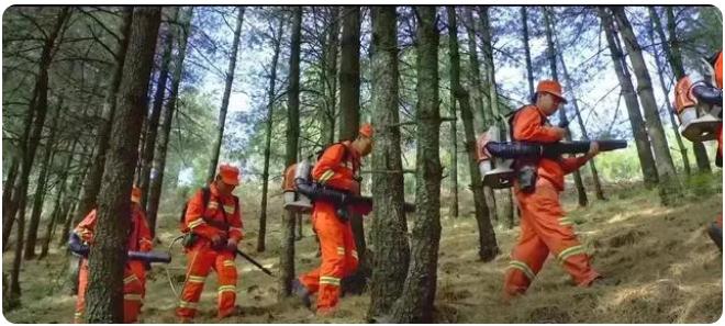 全市森林草原防火期結束，嵩明持續筑牢森林&ldquo;防火墻&rdquo;